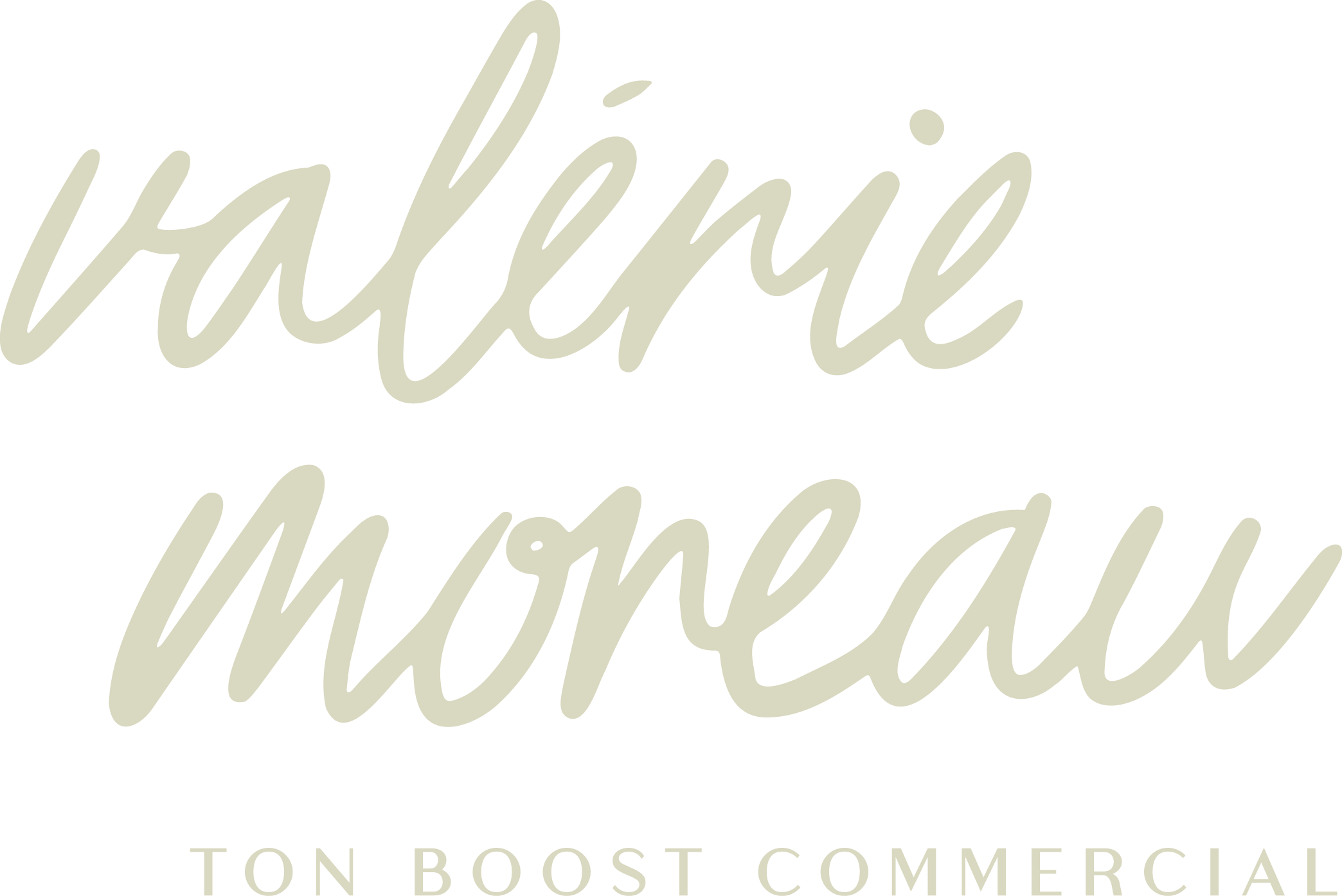 logo Valérie MOREAU FORMATRICE COMMERCIALE En Haute Vienne Limousin Limoges